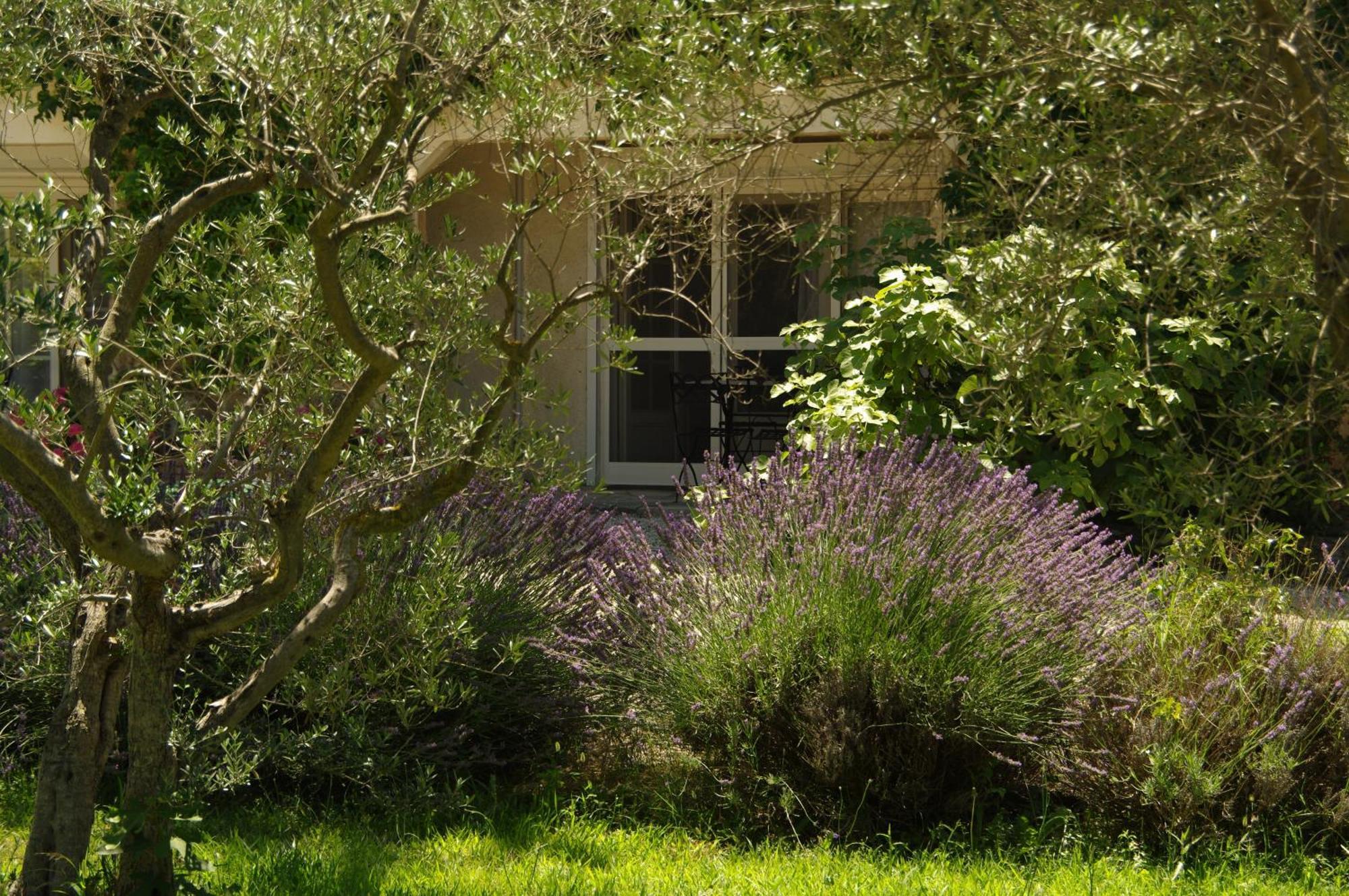 Residence Le Saint Victor Fontvieille Esterno foto
