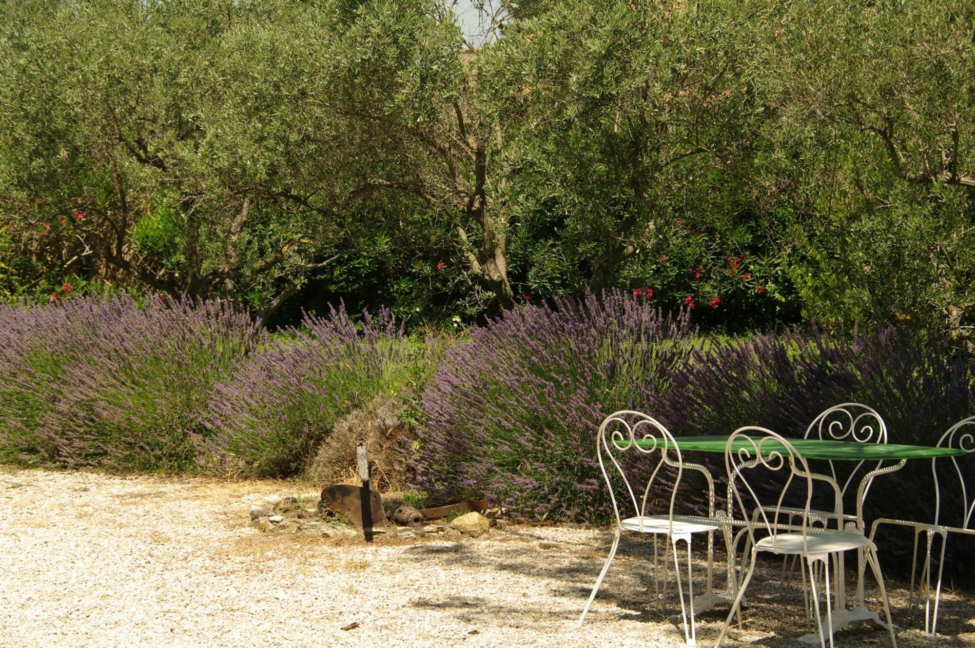 Residence Le Saint Victor Fontvieille Esterno foto